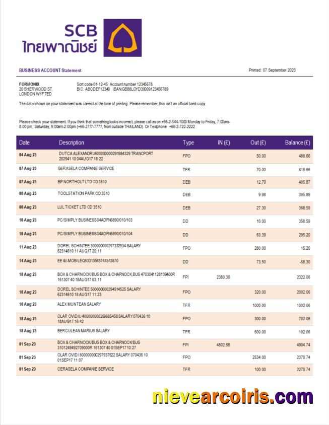 Siam Commercial Bank enterprise account statement